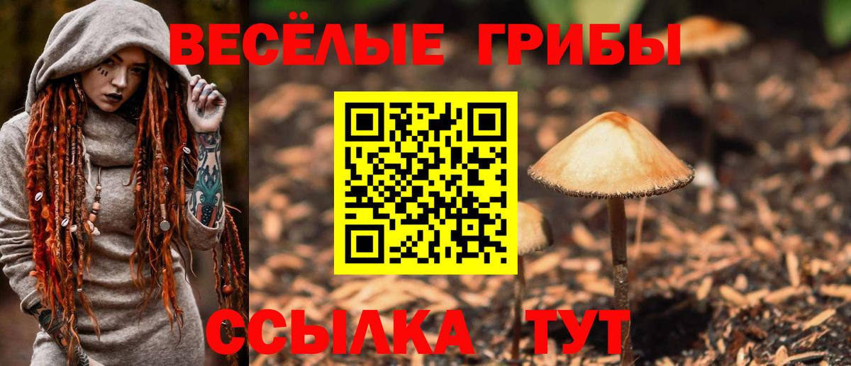 Псилоцибиновые грибы ЛСД Брянск